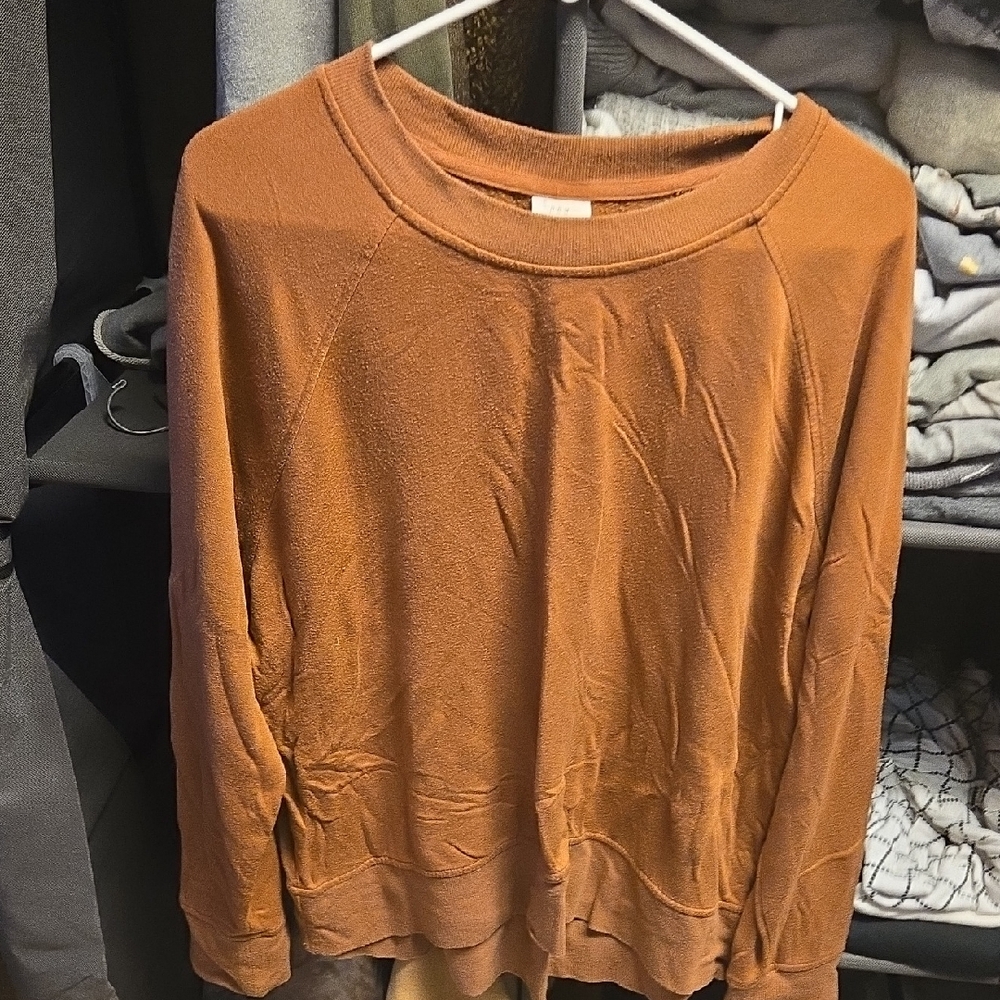 a new day Women's Burnt Orange Crew Neck Sweater